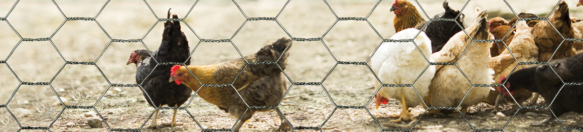 Red Brand Poultry Netting